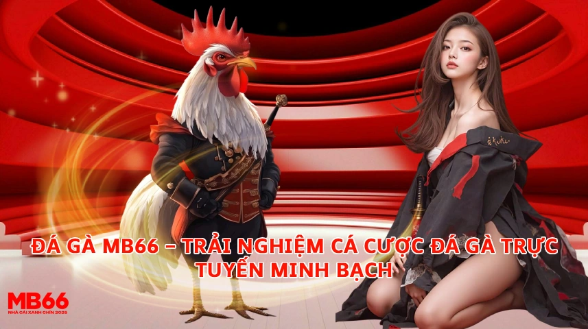 Các Thể Loại Cá Cược Đá Gà Tại MB66 MB66 Trang Chủ Chính Thức | Ưu Đãi 66K Đăng Ký Mới Các Thể Loại Cá Cược Đá Gà Tại MB66